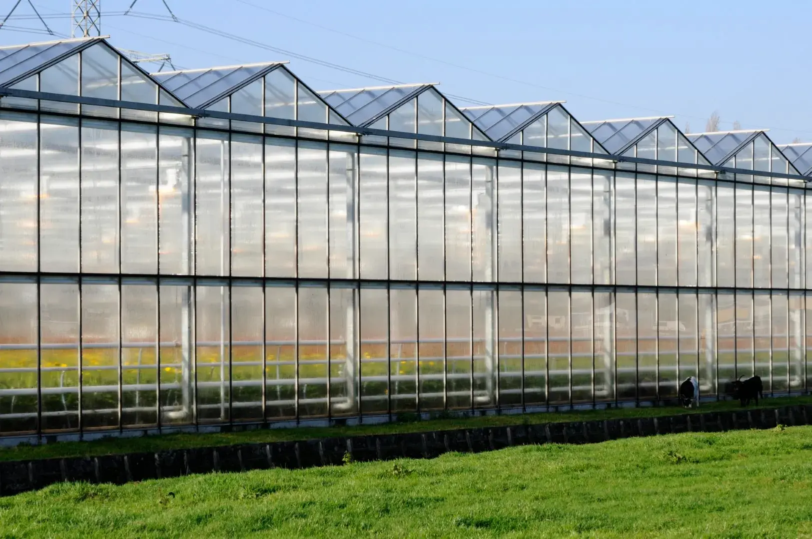 Tuinbouw ExInCovers